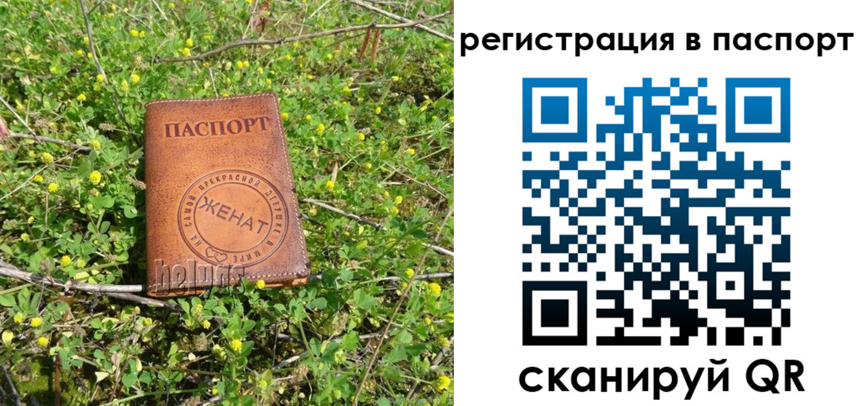 прописка законно в Череповце